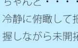 【無料】ちゃんと・・・・冷静に俯瞰して把握しながら未開拓の場所へ 別の側面を見ながら 【d_512075zero】