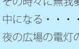 その時々に無我夢中になる・・・・夜の広場の電灯の近くでは今が大切 【d_515039】