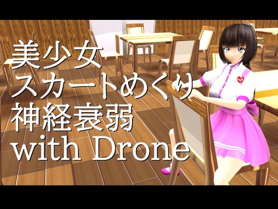 美少女スカートめくり神経衰弱 with Drone 【d_515088】