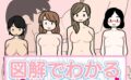 図解でわかる女性のカラダ 〜健康的で持続可能な性生活〜【得合本版】 【k187afrnt10102】