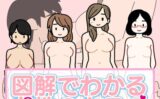 図解でわかる女性のカラダ 〜健康的で持続可能な性生活〜【得合本版】 【k187afrnt10102】