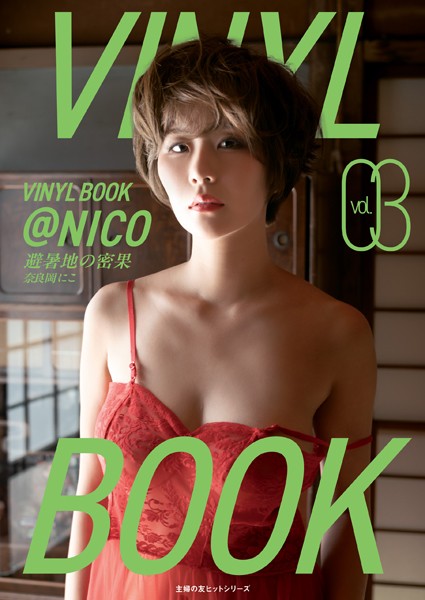 VINYL BOOK @NICO vol.03 【b739asfnt08306】