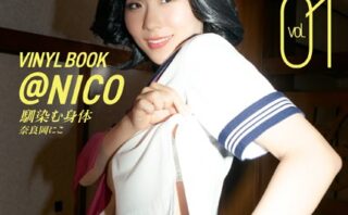 VINYL BOOK @NICO vol.01 【b739asfnt08308】