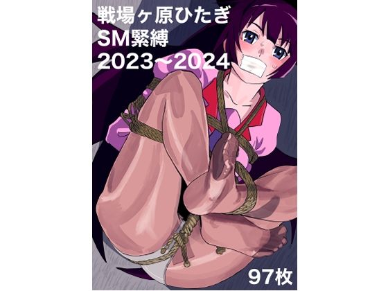 戦場ヶ原ひたぎSM緊縛2023〜2024 【d_532378】