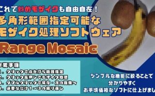 これで斜めのモザイク処理も自由自在！多角形範囲指定可能なモザイクツール「RangeMosaic」 【d_536975】