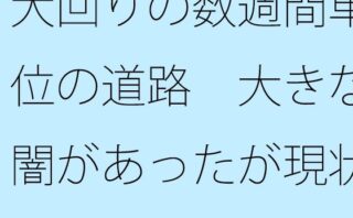 大回りの数週間単位の道路 大きな闇があったが現状認識でそれはなんでもなく 【d_537535】