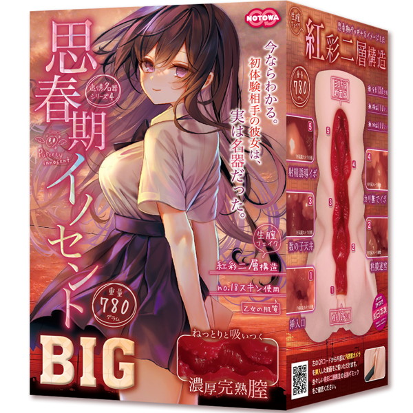 【FANZA独占販売】 思春期イノセントBIG 【hole9741】