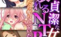 どんな貞潔な女も壊れるNTR〜気付いたら奪われていた…〜【CG集コレクションBIG】 【k187afrnt08231】