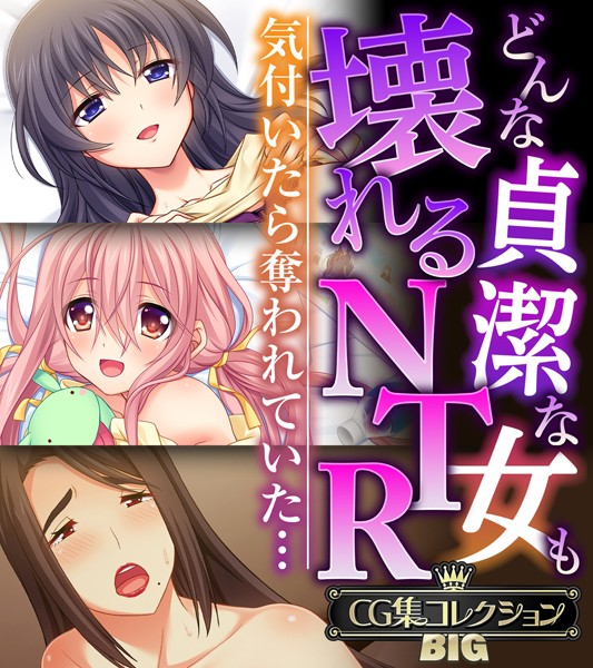 どんな貞潔な女も壊れるNTR〜気付いたら奪われていた…〜【CG集コレクションBIG】 【k187afrnt08231】