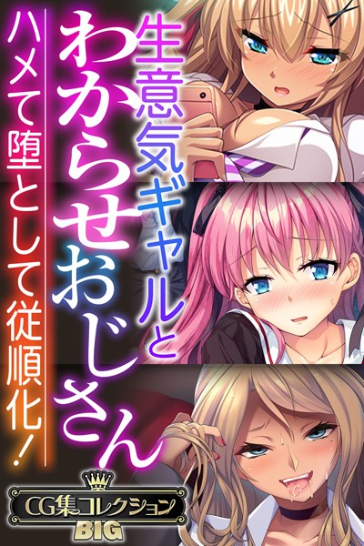 生意気ギャルとわからせおじさん 〜ハメて堕として従順化！〜【CG集コレクションBIG】 【k187afrnt08489】