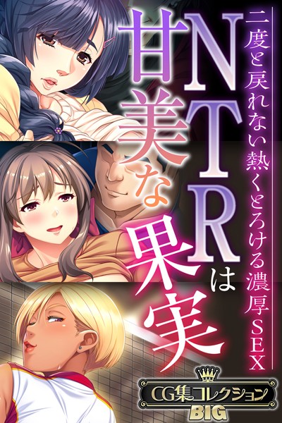 NTRは甘美な果実〜二度と戻れない熱くとろける濃厚SEX〜【CG集コレクションBIG】 【k187afrnt08738】