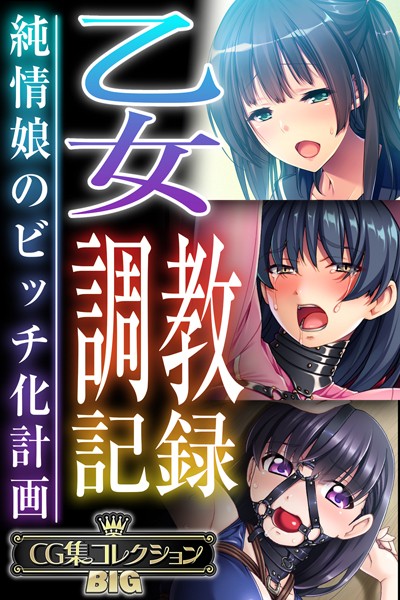 乙女調教記録〜純情娘のビッチ化計画〜【CG集コレクションBIG】 【k187afrnt09009】