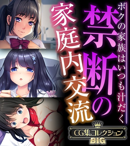 禁断の家庭内交流 〜ボクの家族はいつも汁だく〜【CG集コレクションBIG】 【k187afrnt09316】