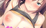 ホンキにさせる爆乳メス媚び交尾 〜出すだけじゃモノ足りないの〜【CG集セレクション】モザイク版 【s645asmmi00254】