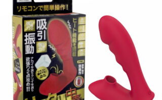 リモクリ中毒 【vibrator4257】