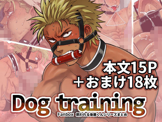 DOG TRAINING 【d_550435】