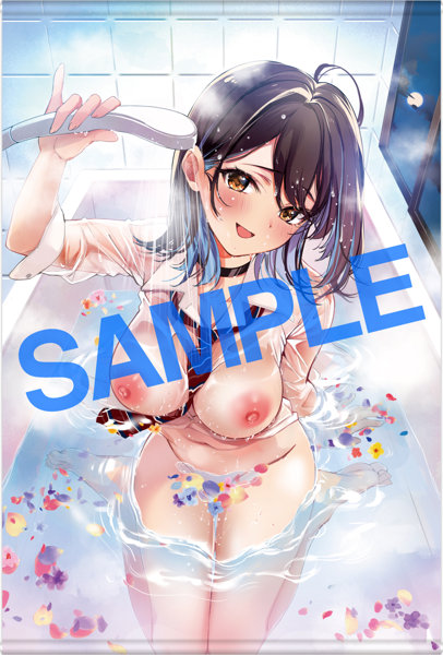fig_0003525 GOT タペストリーコレクション528 波乗かもめ
