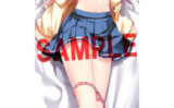 fig_0003537 放課後シンデレラ2 小瀬葉月 抱き枕カバー