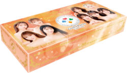 fig_0003755 【第4弾】Girl’s Party Collection〜THE FAN FUN TRUMP〜 1コンプリート（全156カード＋JOKER9種入り）