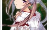 storeafi00133cm8qh4dnxz 『ランス10』 アクリルドミノ 徳川深根
