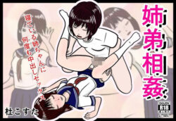姉弟相姦 【d_580869】