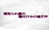 寝取られ妻の種付け中の喘ぎ声 【d_584169】