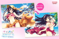 fig_0002104 marui先生描き下ろし 恋する夏のラストリゾート 幸崎 羽海 A1サイズ2重タペストリー