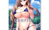 fig_0002126 ユニオリズム☆カルテット アクリルアートパネル 〜ステラ サマーバケーション