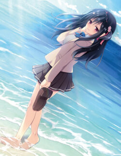 fig_0002295 フタマタ恋愛 学生時代、海で出会う F6キャンバスアート