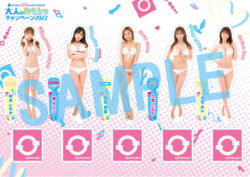 fig_0002705 【大人のおもちゃキャンペーン2022】A4サイズアクリルスタンド 水着ver
