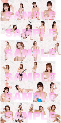 fig_0003499 【歳末新春SUPERキャンペーン2022-2023】生写真24枚セット fig_0003499 【歳末新春SUPERキャンペーン2022-2023】生写真24枚セット