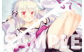 fig_2502211726252 【受注限定生産】アストラエアの白き永遠10th Anniversary記念 雪々B2タペストリー