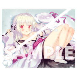 fig_2502211726252 【受注限定生産】アストラエアの白き永遠10th Anniversary記念 雪々B2タペストリー fig_2502211726252 【受注限定生産】アストラエアの白き永遠10th Anniversary記念 雪々B2タペストリー