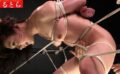 マ○コと肛門を同時に責められて気がオカシクなってしまった熟女 【h_1792ultr00062】