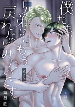 僕たち、兄弟にはもう戻れないみたいです。（単話） 【k804annbn14290】