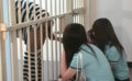 mistressland-0032 女権刑務所囚人地獄