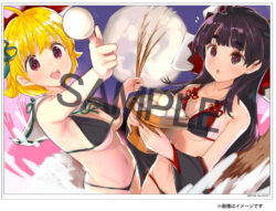 storeafi0002037 超昂大戦 16滅忍キクリ＆滅忍コテツ アクリルプレートL