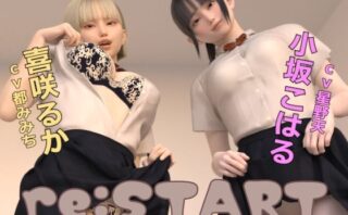 d_416453 re:START
