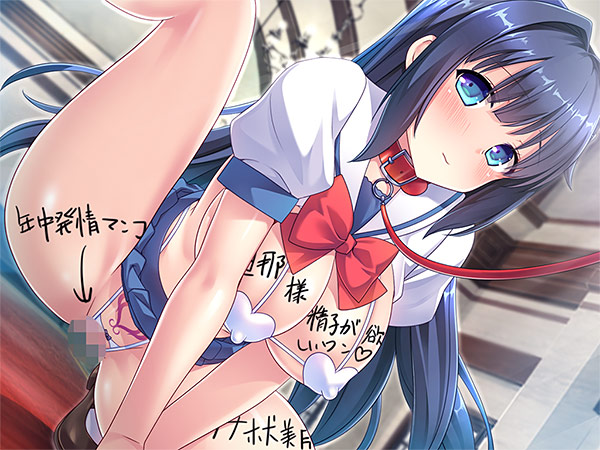動画版大和撫子なお嬢様が妊活のために超都合のいい孕ませオナホ嫁として嫁いできた! 3枚目