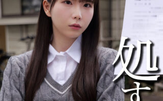 U 【smjj118】