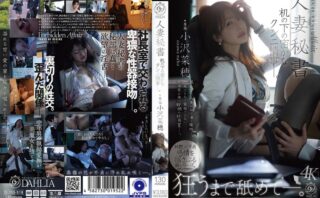 人妻秘書 机の下の密かなクンニ情事―。 小沢菜穂