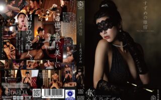 すずめの雄宿 美乃すずめ