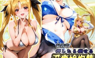 d_664129 押したら倒せる執務官 淫癒娘抱集