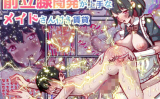 d_708308 前立腺開発が上手なメイドさん付き賃貸