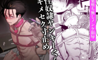 性奴●ヤンキーくんキメセク寸止めd_717785
