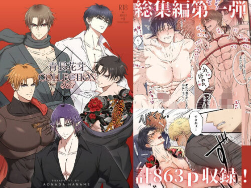 青長花芽COLLECTION Vol.1d_727463