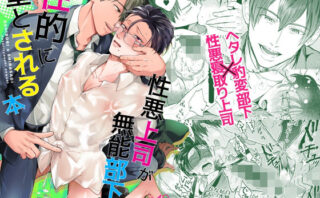 性悪上司が無能部下に性的に堕とされる本d_773582