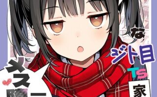 セックスが嫌いなジト目TS家出少女が一晩でメス堕ちする話 モザイク版