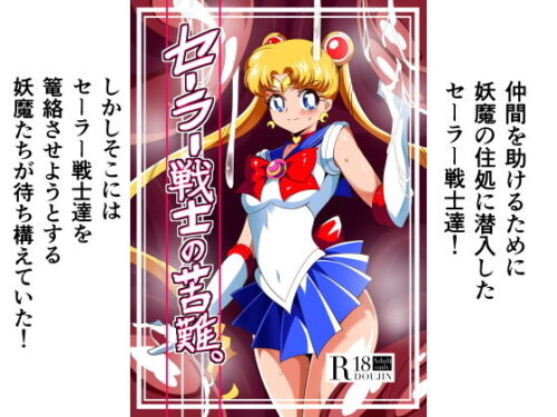 d_153020 セーラー戦士の苦難