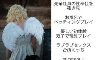 双子秘書と副社長の甘美な関係を描く魅惑のノベルレビュー